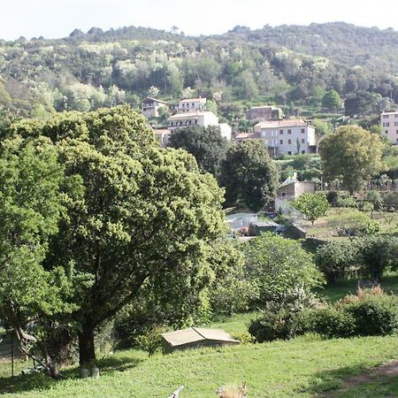 דירות פיאנה A Cardiccia Loc Saisonnieres Piana מראה חיצוני תמונה